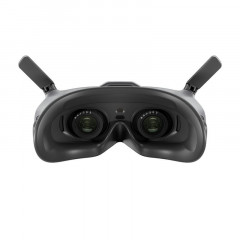 FPV видео-очки DJI Goggles 2 Motion Combo